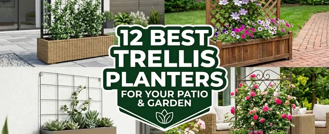 12 Best Trellis Planters for a Beautiful Patio and Garden