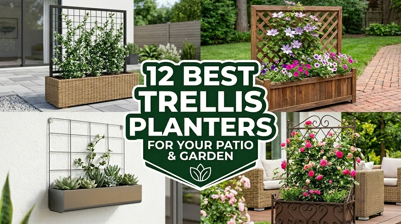 12 Best Trellis Planters for a Beautiful Patio and Garden
