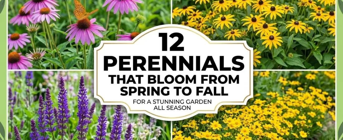 12 Perennials That Bloom From Spring To Fall