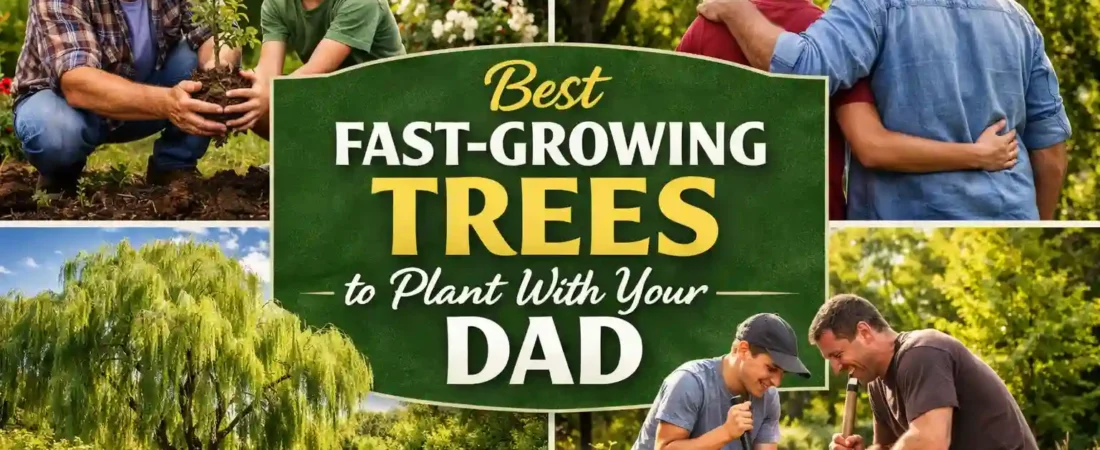 Best Fast-Growing Trees to Plant With Your Dad This Weekend