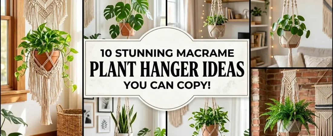 10 Stunning Macrame Plant Hanger Ideas You Can Copy