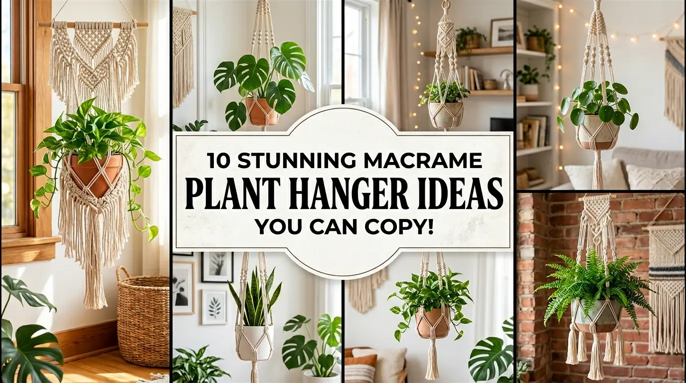 10 Stunning Macrame Plant Hanger Ideas You Can Copy