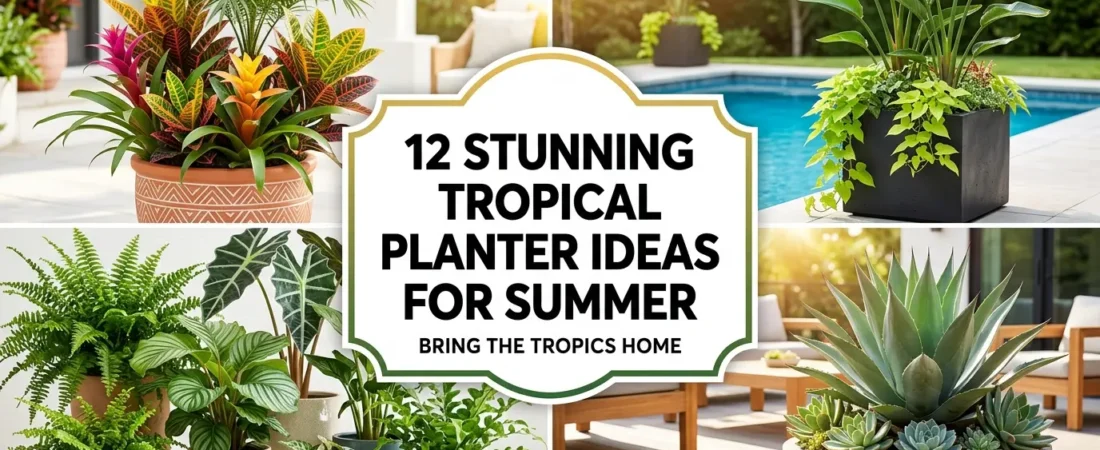 12 Stunning Tropical Planter Ideas For Summer