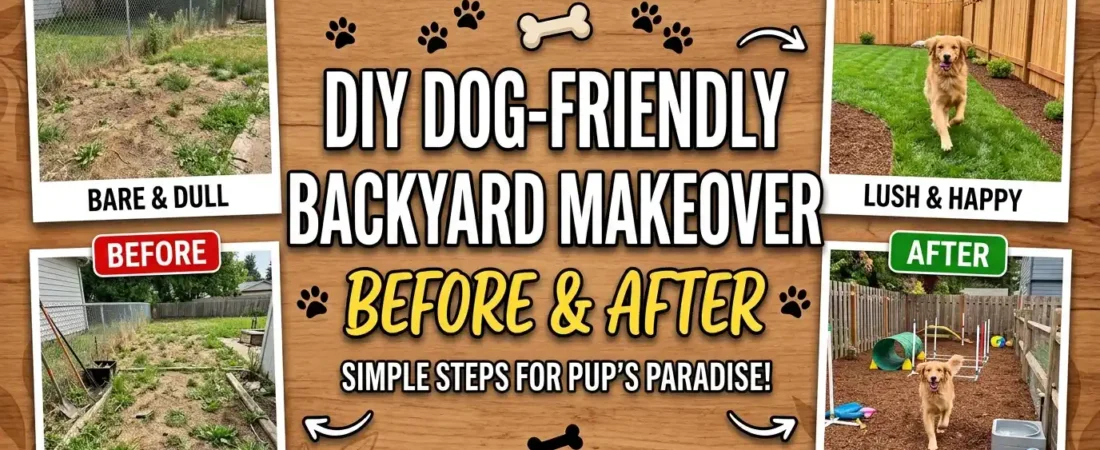 DIY Dog-Friendly Backyard Makeover: Before and After