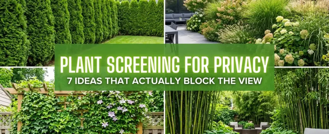 Plant Screening for Privacy: 7 Ideas That Actually Block the View