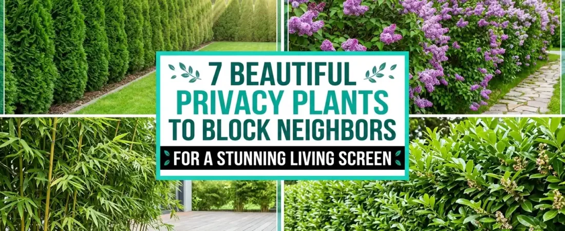 7 Privacy Plants That Block Neighbors and Look Beautiful Doing It
